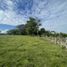 Terreno (Parcela) en venta en La Tebaida, Quindio, La Tebaida