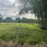  Terreno (Parcela) en venta en La Tebaida, Quindio, La Tebaida