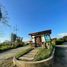  Land for sale in Circasia, Quindio, Circasia