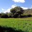 Studio House for sale in Ayacucho, San Luis, Ayacucho