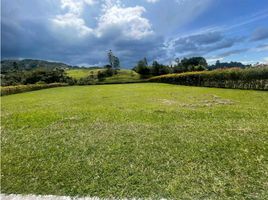  Land for sale in El Carmen De Viboral, Antioquia, El Carmen De Viboral