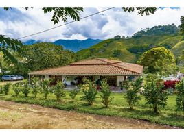 8 Habitación Casa en venta en Andes, Antioquia, Andes