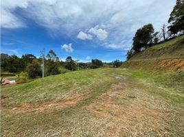  Land for sale in El Carmen De Viboral, Antioquia, El Carmen De Viboral