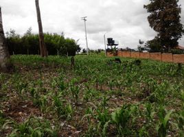  Terreno (Parcela) en venta en La Tebaida, Quindio, La Tebaida