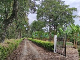  Land for sale in La Tebaida, Quindio, La Tebaida