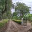  Grundstück zu verkaufen in La Tebaida, Quindio, La Tebaida, Quindio