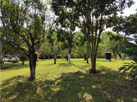  Terreno (Parcela) en venta en La Tebaida, Quindio, La Tebaida