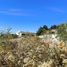  Land for sale in Chile, Vina Del Mar, Valparaiso, Valparaiso, Chile
