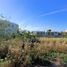  Land for sale in Chile, Vina Del Mar, Valparaiso, Valparaiso, Chile