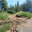  Terreno (Parcela) en venta en Maule, Cauquenes, Cauquenes, Maule