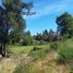  Terreno (Parcela) en venta en Maule, Cauquenes, Cauquenes, Maule