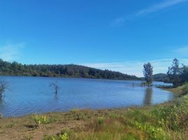  Terreno (Parcela) en venta en Maule, Cauquenes, Cauquenes, Maule
