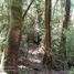  Land for sale in Chile, Castro, Chiloe, Los Lagos, Chile