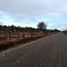  Land for sale in Chile, Castro, Chiloe, Los Lagos, Chile