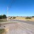  Terreno (Parcela) en venta en Maule, Teno, Curicó, Maule