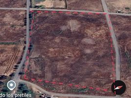  Terreno (Parcela) en venta en Maule, Teno, Curicó, Maule