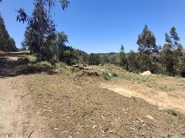  Terreno (Parcela) en venta en Chile, San Antonio, San Antonio, Valparaíso, Chile