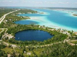 Terrain à vendre à Othon P Blanco, Quintana Roo, Othon P Blanco