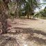 Terrain à vendre à Othon P Blanco, Quintana Roo, Othon P Blanco