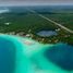Terrain à vendre à Othon P Blanco, Quintana Roo, Othon P Blanco