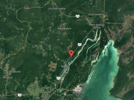  Grundstück zu verkaufen in Othon P Blanco, Quintana Roo, Othon P Blanco