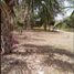  Grundstück zu verkaufen in Othon P Blanco, Quintana Roo, Othon P Blanco