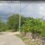  Grundstück zu verkaufen in Motul, Yucatan, Motul