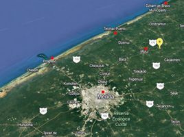  Terreno (Parcela) en venta en Motul, Yucatán, Motul