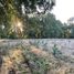  Terreno (Parcela) en venta en Araucanía, Villarrica, Cautín, Araucanía