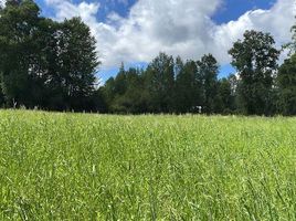  Terreno (Parcela) en venta en Araucanía, Villarrica, Cautín, Araucanía