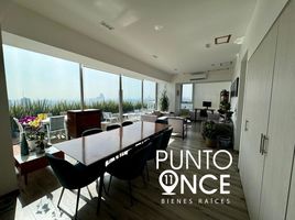 2 Habitación Apartamento en alquiler en Miguel Hidalgo, Ciudad de México, Miguel Hidalgo, Ciudad de México