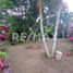  Land for sale in Cunduacan, Tabasco, Cunduacan