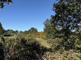  Terreno (Parcela) en venta en Chile, Puerto Varas, Llanquihue, Los Lagos, Chile