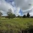  Terreno (Parcela) en venta en Chile, Puerto Varas, Llanquihue, Los Lagos, Chile