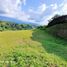  Terreno (Parcela) en venta en Armenia, Quindio, Armenia