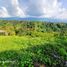  Terreno (Parcela) en venta en Armenia, Quindio, Armenia