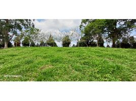  Land for sale in Salento, Quindio, Salento