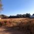  Land for rent in San Luis Potosi, San Luis Potosi, San Luis Potosi, San Luis Potosi