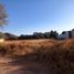  Land for rent in San Luis Potosi, San Luis Potosi, San Luis Potosi, San Luis Potosi