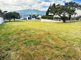  Terrain for sale in Cumbaya, Quito, Cumbaya