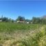  Land for sale in Chile, Coltauco, Cachapoal, Libertador General Bernardo Ohiggins, Chile