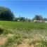  Land for sale in Chile, Coltauco, Cachapoal, Libertador General Bernardo Ohiggins, Chile
