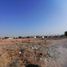  Terreno (Parcela) en venta en Zempoala, Hidalgo, Zempoala