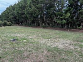  Land for sale in Rionegro, Antioquia, Rionegro