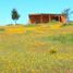  Terreno (Parcela) en venta en Maule, San Javier, Linares, Maule
