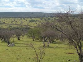 Terreno (Parcela) en venta en Maule, San Javier, Linares, Maule