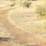  Terreno (Parcela) en venta en Maule, San Javier, Linares, Maule
