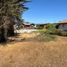  Terreno (Parcela) en venta en Chile, Puchuncavi, Valparaíso, Valparaíso, Chile