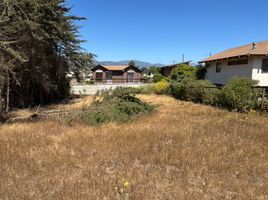  Terreno (Parcela) en venta en Chile, Puchuncavi, Valparaíso, Valparaíso, Chile
