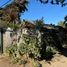 Terreno (Parcela) en venta en Chile, Puchuncavi, Valparaíso, Valparaíso, Chile